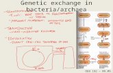 Genetic exchange in bacteria/archaea OEB 192 – 09.09.16.