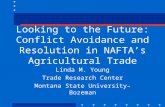 Looking to the Future: Conflict Avoidance and Resolution in NAFTA’s Agricultural Trade Linda M. Young Trade Research Center Montana State University–Bozeman.