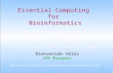 1 Essential Computing for Bioinformatics Bienvenido Vélez UPR Mayaguez Lecture 4 High-level Programming with Python Part I: Controlling the flow of your.