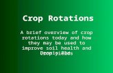 A brief overview of crop rotations today and how they may be used to improve soil health and crop yields Dennis Roe Crop Rotations.