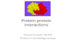Protein-protein interactions Masoud Youssefi, MD,PhD Division of microbiology/virology.