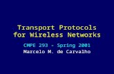 Transport Protocols for Wireless Networks CMPE 293 - Spring 2001 Marcelo M. de Carvalho.