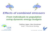 Effects of combined stressors Tjalling Jager, Bas Kooijman Dept. Theoretical Biology From individuals to population using dynamic energy budgets.