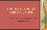 THE ORIGINS OF AGRICULTURE Hunter-Gatherers to Agrarians.