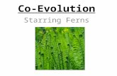 Co-Evolution Starring Ferns. Fern-Environment Interactions How do ferns interact with animals? With other plants? With the soil around them?