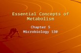Essential Concepts of Metabolism Chapter 5 Microbiology 130.