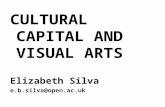 CULTURAL CAPITAL AND VISUAL ARTS Elizabeth Silva e.b.silva@open.ac.uk.