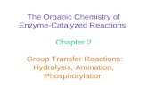 The Organic Chemistry of Enzyme-Catalyzed Reactions Chapter 2 Group Transfer Reactions: Hydrolysis, Amination, Phosphorylation.
