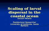 Scaling of larval dispersal in the coastal ocean Satoshi Mitarai Postdoctoral Researcher University of California, Santa Barbara.