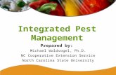 Integrated Pest Management Prepared by: Michael Waldvogel, Ph.D. NC Cooperative Extension Service North Carolina State University.