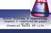 Human Anatomy & Physiology Chapter 2 (emphasis on pages 47-58) Chemical Basis Of Life.
