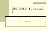 IEG 3080 Tutorial 1 Wilson Ip. Outline Lecture reviews: Some basics of Software Engineering principle Some basics of OOP How to use Visual Studio.NET.