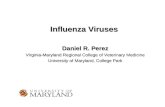 Influenza Viruses Daniel R. Perez Virginia-Maryland Regional College of Veterinary Medicine University of Maryland, College Park.