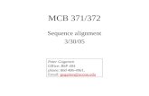 MCB 371/372 Sequence alignment 3/30/05 Peter Gogarten Office: BSP 404 phone: 860 486-4061, Email: gogarten@uconn.edugogarten@uconn.edu.
