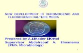 1 NEW DEVELOPMENT IN CHROMOGENIC AND FLUOROGENIC CULTURE MEDIA Prepered by A.ElKader ElOttol Supervisor Abdelraouf A. Elmanama (PhD. Microbiology)