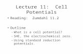 Lecture 11: Cell Potentials Reading: Zumdahl 11.2 Outline –What is a cell potential? –SHE, the electrochemical zero. –Using standard reduction potentials.
