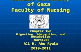 Islamic University of Gaza Faculty of Nursing Chapter Two Digestion, Absorption, and Metabolism Nurs1206. Ali H. Abu Ryala 2010-2011.