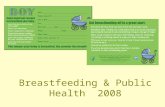 Breastfeeding & Public Health 2008. Functions of Public Health Assessment Policy Development Assurance.