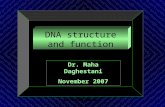 Dr. Maha Daghestani DNA structure and function Dr. Maha Daghestani November 2007.