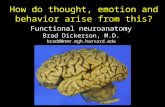 Functional neuroanatomy Brad Dickerson, M.D. bradd@nmr.mgh.harvard.edu How do thought, emotion and behavior arise from this?
