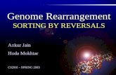 Genome Rearrangement SORTING BY REVERSALS Ankur Jain Hoda Mokhtar CS290I – SPRING 2003.