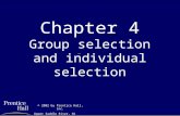 Chapter 4 Group selection and individual selection © 2002 by Prentice Hall, Inc. Upper Saddle River, NJ 07458.