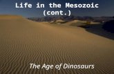 Life in the Mesozoic (cont.) The Age of Dinosaurs.