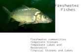 Freshwater Fishes Freshwater communities Temperate Streams Temperate Lakes and Reservoirs Tropical Streams and Lakes.