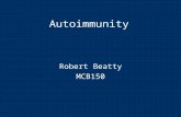 Autoimmunity Robert Beatty MCB150.  Autoimmunity is an immune response to self antigens that results in disease.  The immune response to self is a result.