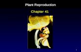 1 Plant Reproduction Chapter 41. 2 Flower Initiation.