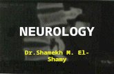 NEUROLOGY Dr.Shamekh M. El-Shamy. Spinal Cord Injuries.