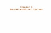 Chapter 6 Neurotransmitter Systems. Introduction There are three classes of neurotransmitters (as discussed in Chapter 5) –Amino acids, amines, and peptides.