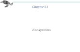 Chapter 51 Ecosystems. Chapter 51 Ecosystems n Many global environmental problems have emerged recently. n Ecosystems consist of all the organisms that.