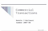 ©MNoonan2008 Commercial Transactions Module 7-Bailment Summer 2007-08.