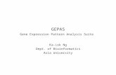 GEPAS Gene Expression Pattern Analysis Suite Ka-Lok Ng Dept. of Bioinformatics Asia University.
