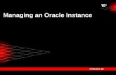 Managing an Oracle Instance. spfiledb01.ora Initialization Parameter Files CONNECT / AS SYSDBA STARTUP Oracle Instance SGA Redo Log Buffer Shared Pool.