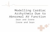 Modelling Cardiac Arrhythmia Due to Abnormal AV Function Sean and Irene Irene and Sean.