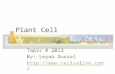 Plant Cell Topic # 2013 By: Leyna Dussel