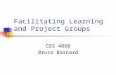 Facilitating Learning and Project Groups COS 4860 Bruce Barnard.