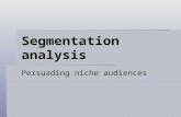 Segmentation analysis Persuading niche audiences.
