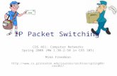 COS 461: Computer Networks Spring 2008 (MW 1:30-2:50 in COS 105) Mike Freedman  IP Packet Switching.