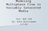 Modeling Multiphase Flow in Variably Saturated Media For: BAE 558 By: Kate Burlingame 5/7/07.