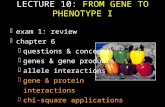 LECTURE 10: FROM GENE TO PHENOTYPE I Fexam 1: review Fchapter 6 Fquestions & concepts Fgenes & gene products Fallele interactions Fgene & protein interactions.