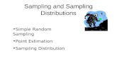 Sampling and Sampling Distributions Simple Random Sampling Point Estimation Sampling Distribution.