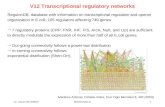 12. Lecture WS 2006/07Bioinformatics III1 V12 Transcriptional regulatory networks RegulonDB: database with information on transcriptional regulation and.