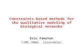 Constraints-based methods for the qualitative modeling of biological networks Eric Fanchon TIMC-IMAG (Grenoble)