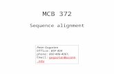MCB 372 Sequence alignment Peter Gogarten Office: BSP 404 phone: 860 486-4061, Email: gogarten@uconn.edugogarten@uconn.edu.