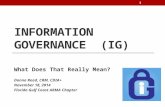 INFORMATION GOVERNANCE (IG) What Does That Really Mean? Donna Read, CRM, CDIA+ November 18, 2014 Florida Gulf Coast ARMA Chapter 1.