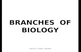 BRANCHES OF BIOLOGY BIOLOGY TEAMS - SMAMDA Biology is simply the study of life. Biology is concerned with all living things. There are many branches.