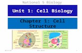 Chapter 1: Cell Structure National 5 Biology Unit 1: Cell Biology 7/2/20151Mrs Smith.